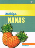 Budidaya Nanas